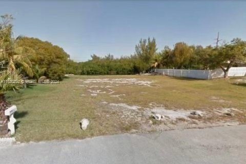 Terreno en venta en Sugarloaf Key, Florida № 1290817 - foto 3