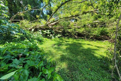 Land in Pahokee, Florida № 1168580 - photo 6