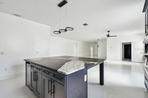 Villa ou maison à vendre à Lutz, Floride: 4 chambres, 207.92 m2 № 1307138 - photo 15