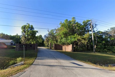 Terreno en venta en Brooksville, Florida № 1339765 - foto 2