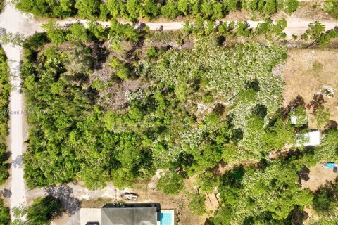 Купить земельный участок в Сент-Луси, Флорида № 1153961 - фото 1