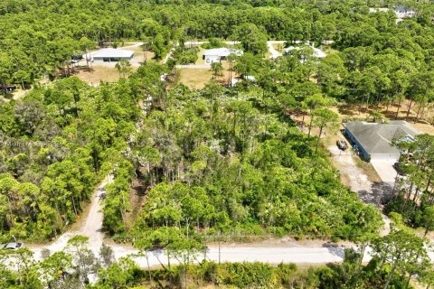 Купить земельный участок в Сент-Луси, Флорида № 1153961 - фото 7