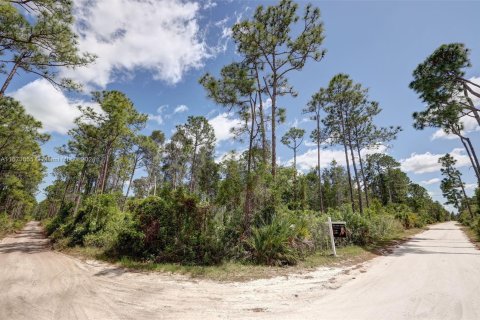 Купить земельный участок в Сент-Луси, Флорида № 1153961 - фото 2