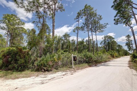 Купить земельный участок в Сент-Луси, Флорида № 1153961 - фото 3