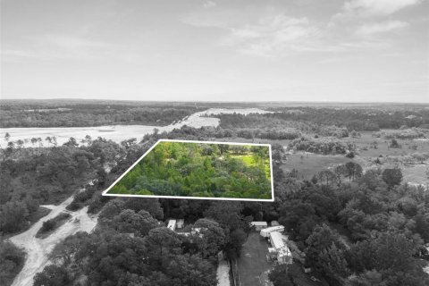 Land in Weeki Wachee, Florida № 1343860 - photo 4