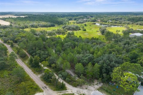 Land in Weeki Wachee, Florida № 1343860 - photo 9