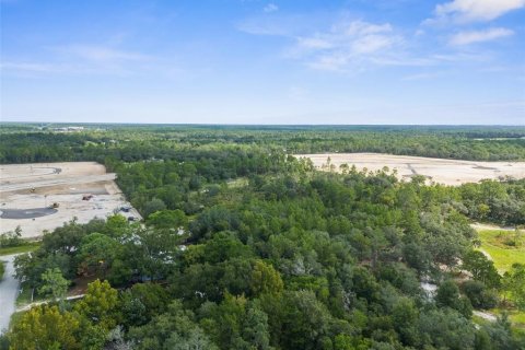 Land in Weeki Wachee, Florida № 1343860 - photo 7