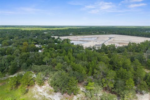 Land in Weeki Wachee, Florida № 1343860 - photo 5