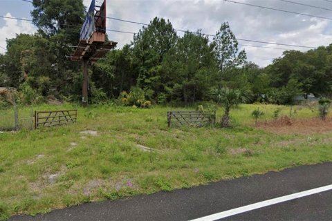 Terreno en venta en Ocala, Florida № 1289663 - foto 2