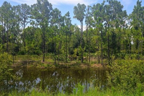 Land in Punta Gorda, Florida № 1379969 - photo 17