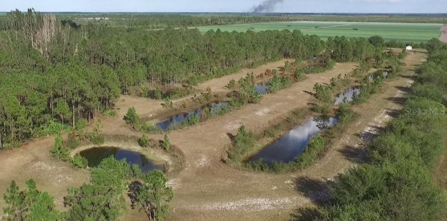 Terrain à Punta Gorda, Floride № 1379969