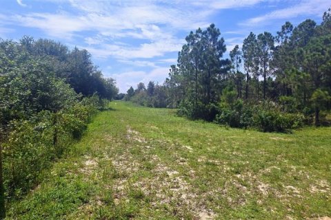 Terreno en venta en Punta Gorda, Florida № 1379969 - foto 14