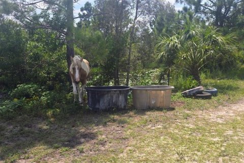 Land in Punta Gorda, Florida № 1379969 - photo 15