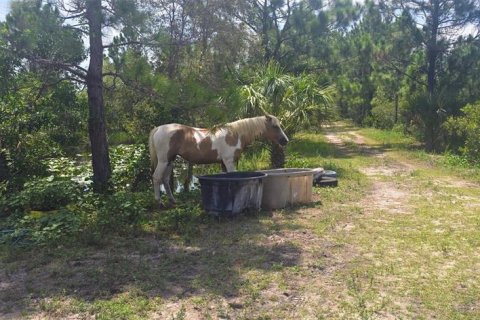 Land in Punta Gorda, Florida № 1379969 - photo 4