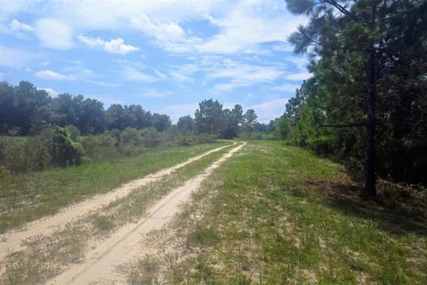 Terrain à vendre à Punta Gorda, Floride № 1379969 - photo 5