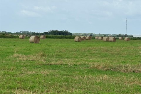 Land in Okeechobee, Florida № 1188649 - photo 1