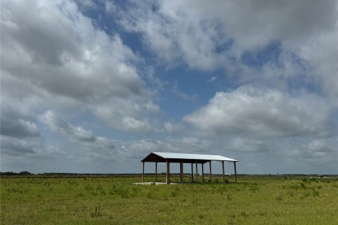 Terrain à vendre à Okeechobee, Floride № 1188649 - photo 7