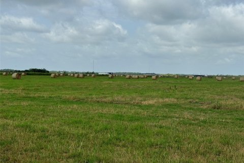 Terrain à vendre à Okeechobee, Floride № 1188649 - photo 2