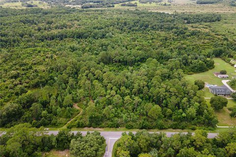 Terreno en venta en Sorrento, Florida № 1380008 - foto 1