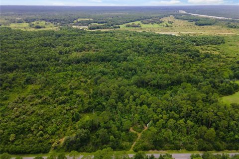 Land in Sorrento, Florida № 1380008 - photo 6