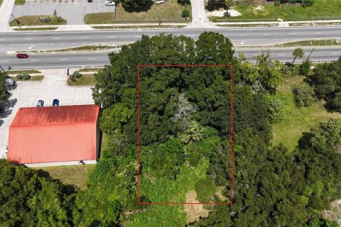 Terreno en venta en Ocala, Florida № 1326490 - foto 4