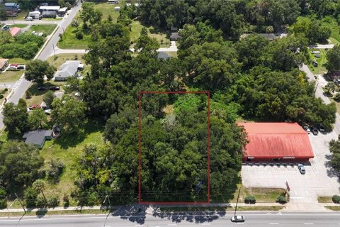 Terreno en venta en Ocala, Florida № 1326490 - foto 1